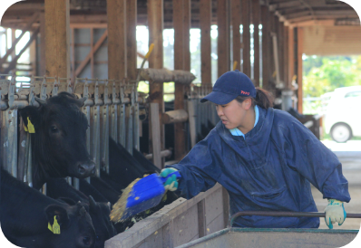 作業員（女性）