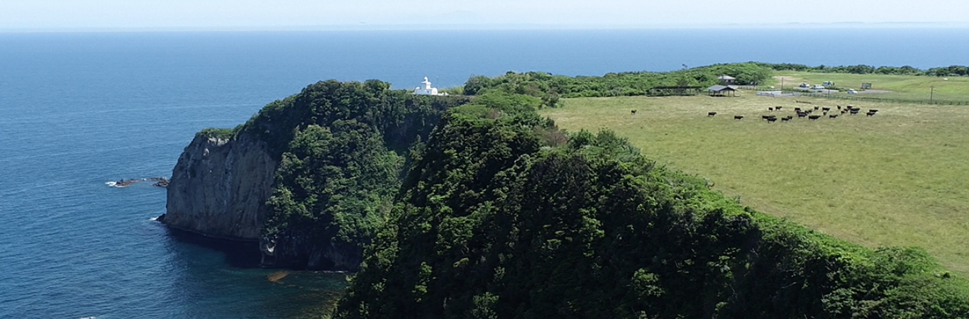 だんだん牧場イメージ