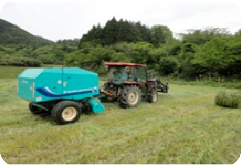 乾燥した牧草を集積しロールベーラーで巻取り、ロール状にして牧場へ運搬します。